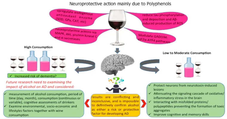 I'm reading more and more searches that say moderate wine consumption is not a danger to someone with dementia.