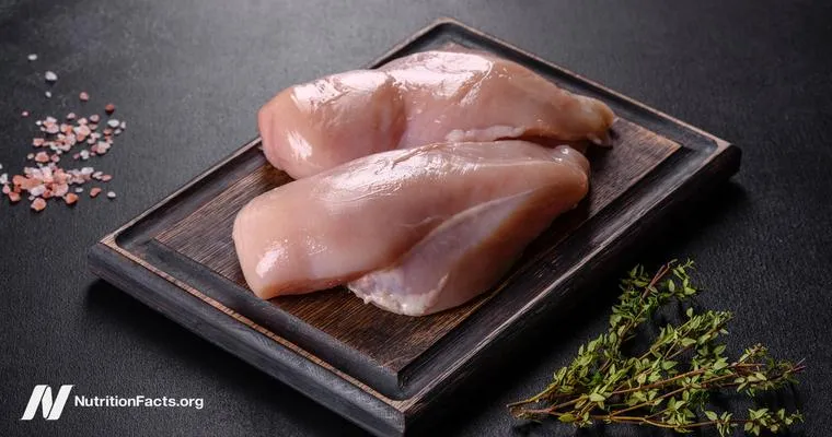UTIs from eating meat?