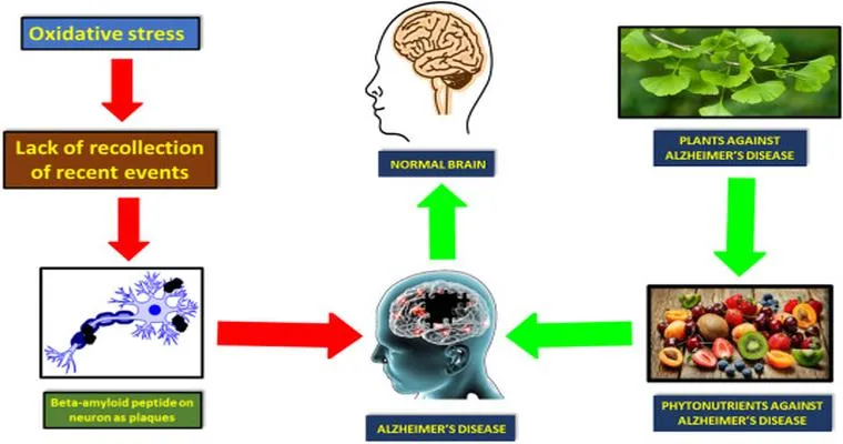 Evaluating Alternative Treatments for Alzheimer's and Dementia